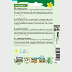 Skoleagurk (Cucumis sativus)