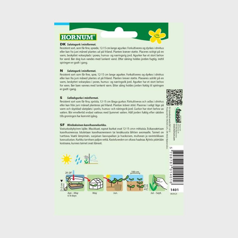 Skoleagurk (Cucumis sativus)