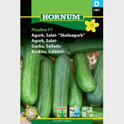 Skoleagurk (Cucumis sativus)