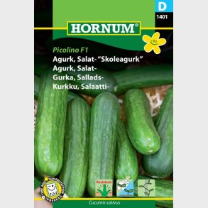 Skoleagurk (Cucumis sativus)