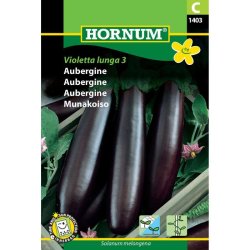 Aubergine, Violetta lunga 3