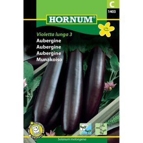 Aubergine, Violetta lunga 3