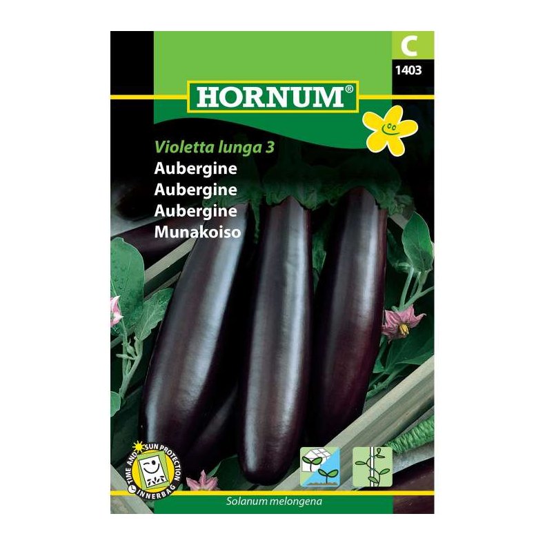 Aubergine, Violetta lunga 3