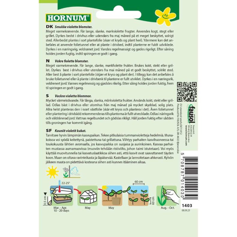 Aubergine, Violetta lunga 3