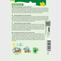 Malabarspinat (Basella rubra)