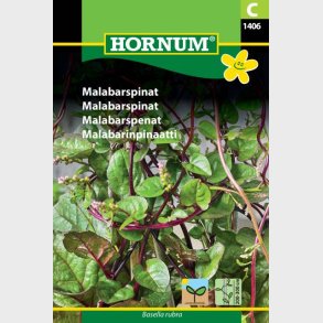 Malabarspinat (Basella rubra)