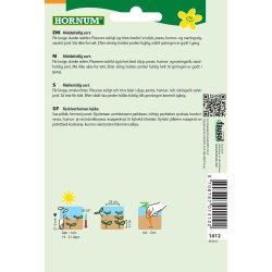 Gulerod, Sommer-, Namdal F1