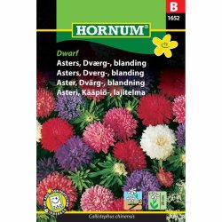 Asters, blomsterfr, Dvrg, blanding, Dwarf