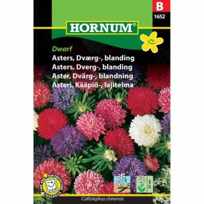 Asters, blomsterfr, Dvrg, blanding, Dwarf