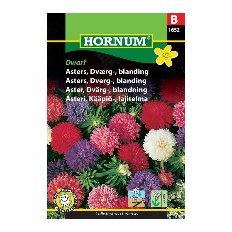 Asters, blomsterfr, Dvrg, blanding, Dwarf