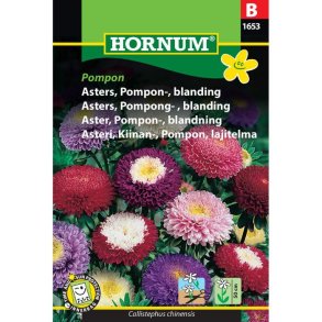 Asters, blomsterfr, blanding, Pompon