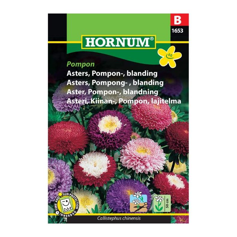 Asters, blomsterfr, blanding, Pompon