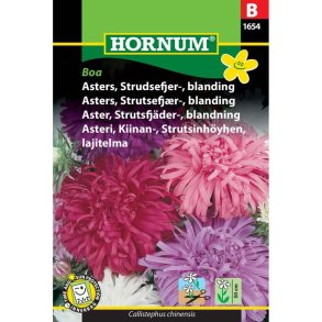 Asters, blomsterfr, Strudsefjer, blanding, Boa