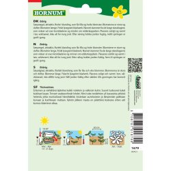 Edderkoppeplante, blomsterfr blanding, Spider