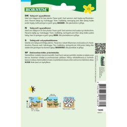 Fingerbl, blomsterfr, blanding, Mervita