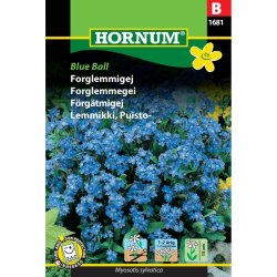 Forglemmigej blomsterfr�, Blue Ball