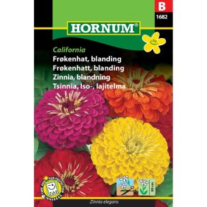 Frkenhat, blomsterfr, blanding, California