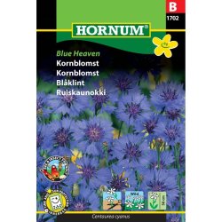 Kornblomst fr, Blue Heaven