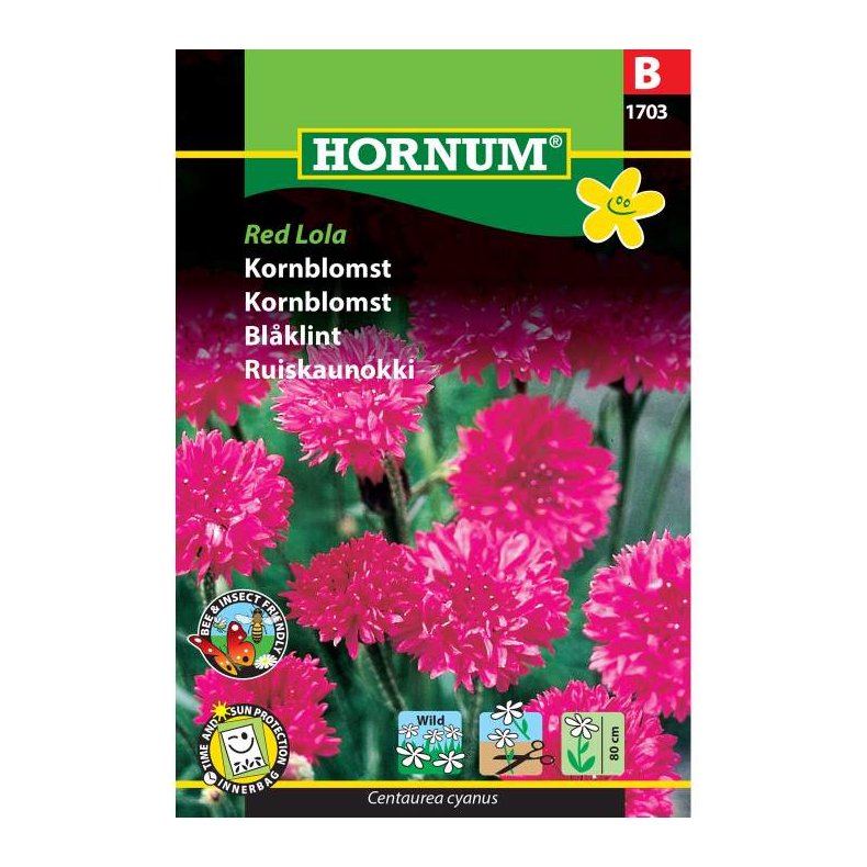 Kornblomst, blomsterfr, Red Lola