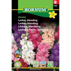 Levkj, blomsterfr, blanding, Aroma