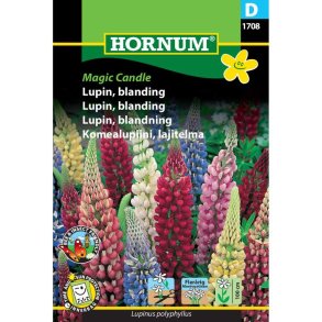Lupin blomsterfr, blanding, Magic Candle