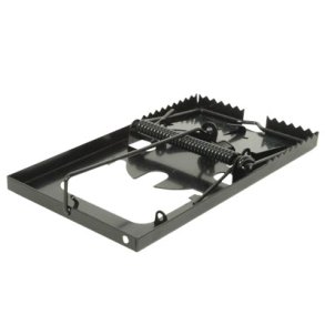 Rotteflde sort metal proff