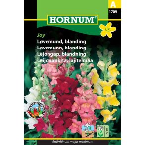 Lvemund, blomsterfr, blanding, Joy