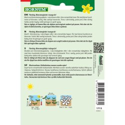 Okseje, blomsterfr, Danish Beauty