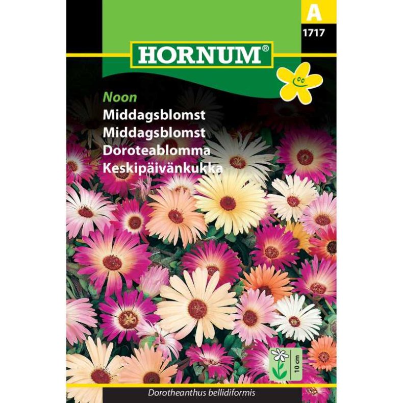 Middagsblomst, blomsterfr, Noon