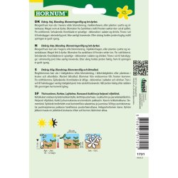 Morgenfrue, Blomsterfr�, blanding, Citrus