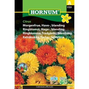 Morgenfrue, Blomsterfr, blanding, Citrus