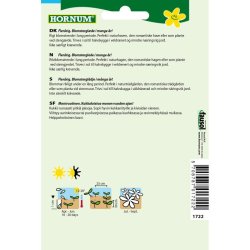 Moskuskatost, blomsterfr, Rosa