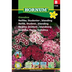 Nelike blomsterfr, studenter, blanding