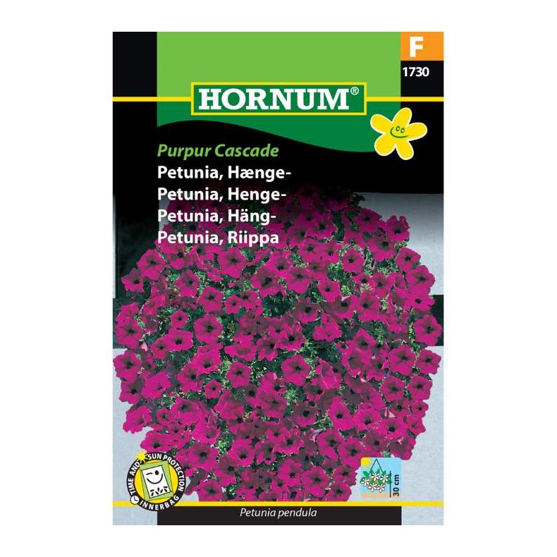 Petunia, Hnge, Blomsterfr, Purpur Cascade