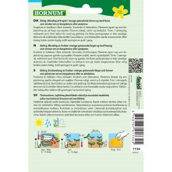 Pyntegrskar, blanding, fr, Star-Mix