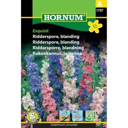 Ridderspore blomsterfr�, blanding, Exquisit