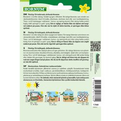 Viol blomsterfr�, Viola cornuta