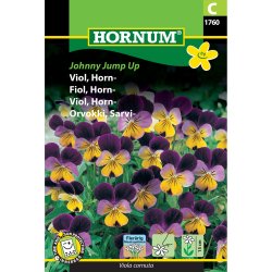 Viol blomsterfr�, Viola cornuta