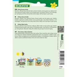 Dahlia, blomsterfr blanding, Mignon Dvarf