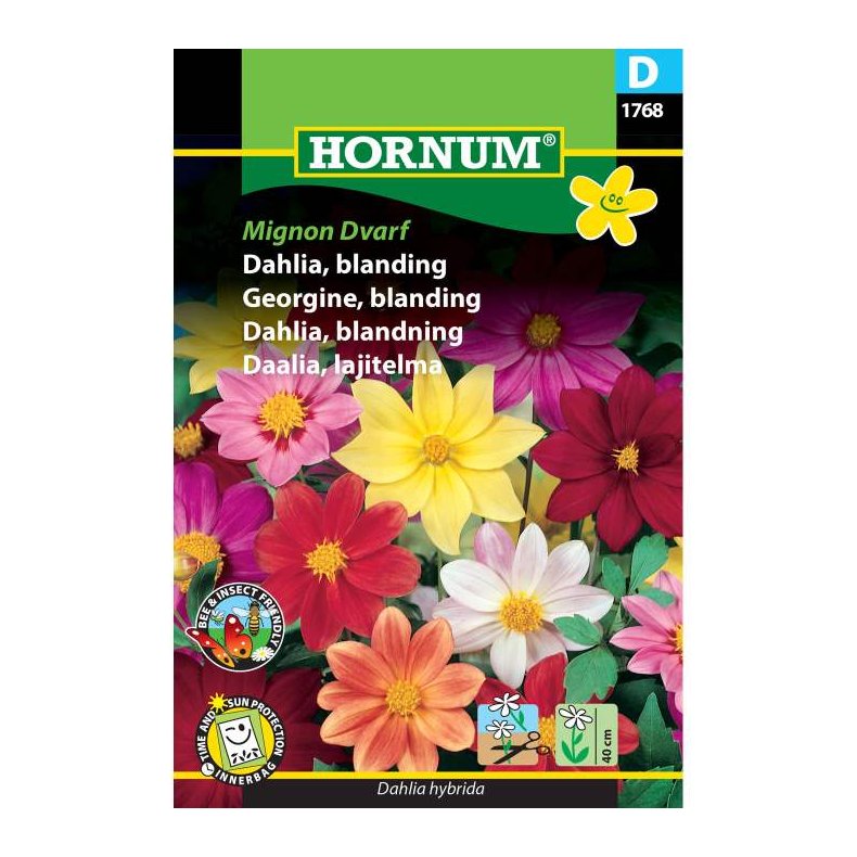 Dahlia, blomsterfr blanding, Mignon Dvarf