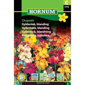 Gyldenlak, blomsterfr, blanding