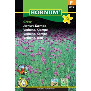 Jernurt, blomsterfr, Kmpe. 