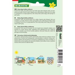 Asters, blomsterfr, blanding, Margareten Mix