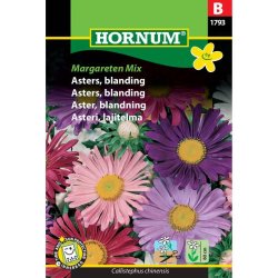 Asters, blomsterfr, blanding, Margareten Mix