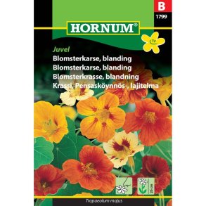 Blomsterkarse, blomstefr blanding, Juvel