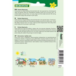  Grs, Pryd, Silky Feathergrass