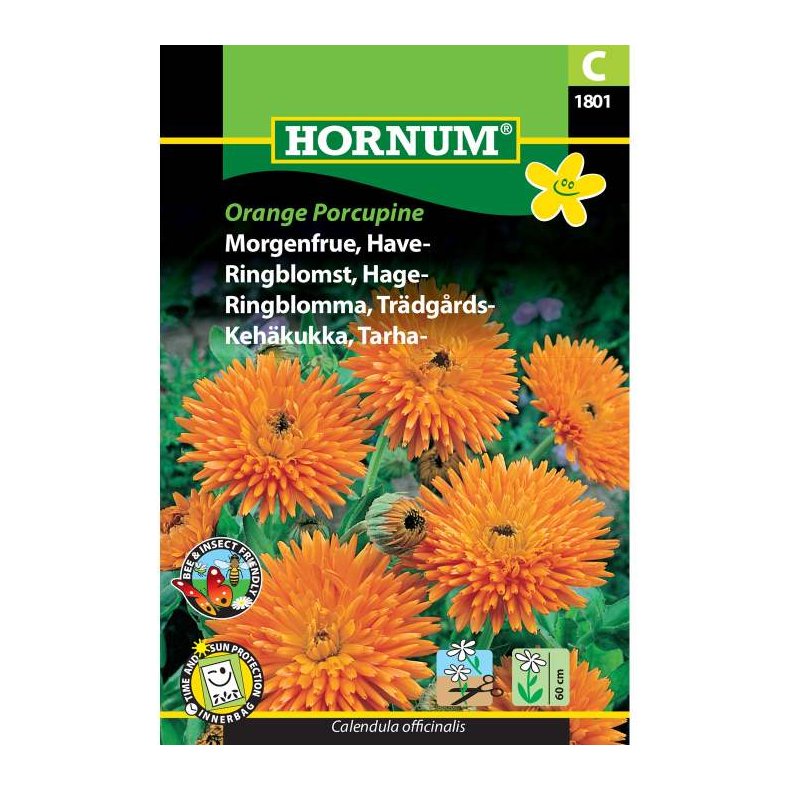 Morgenfrue, Have, blomsterfr, Orange Porcupine
