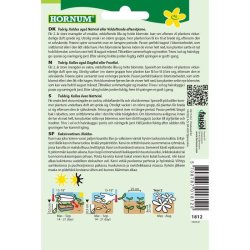 Aftenstjerne, blomsterfr, blanding, Late Violet