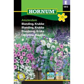 Blanding, blomsterfr til Krukke, Amsterdam