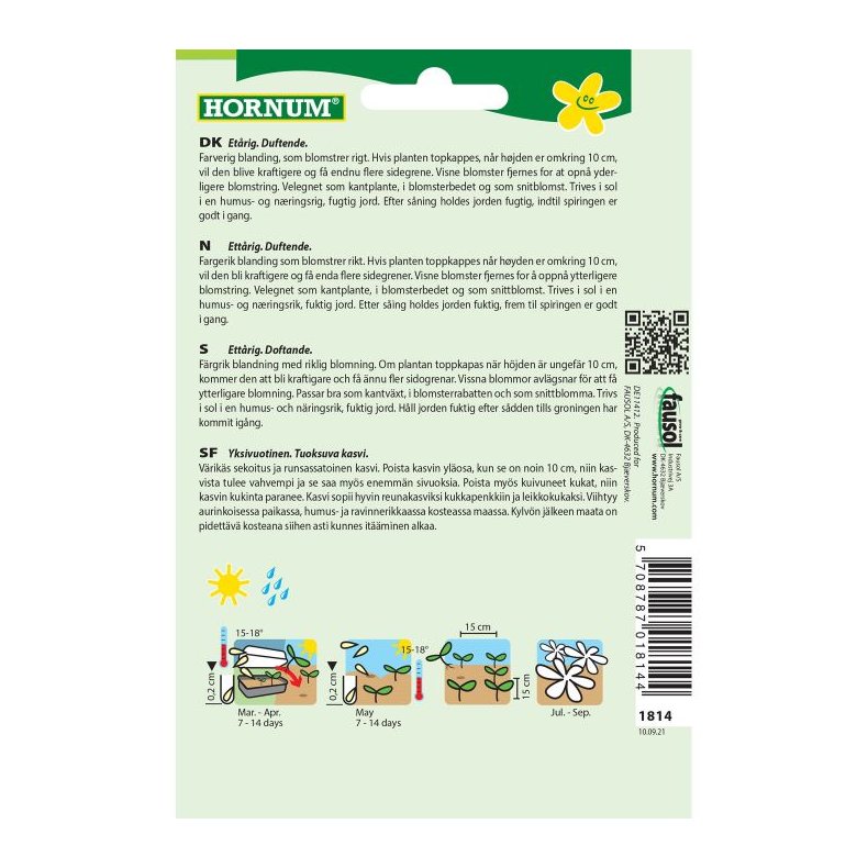 Floks, blomsterfr, Sommer, blanding